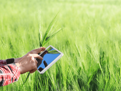 Digitalización de datos